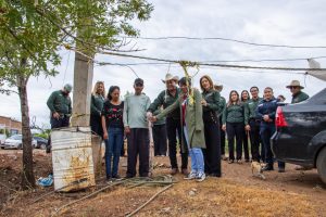 Ampliación de la red de agua potable en la Colonia Mesa Bonita Norte