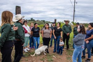 Ampliación de red eléctrica en la Colonia La Parrilla y en la Privada de Los Reyes