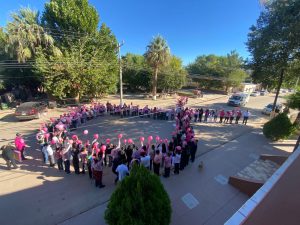 Día Internacional del Cáncer de Mama