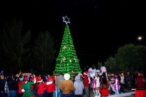 Desfile Navideño en Fronteras