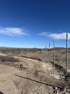 Nuevo basurón en Esqueda, Sonora